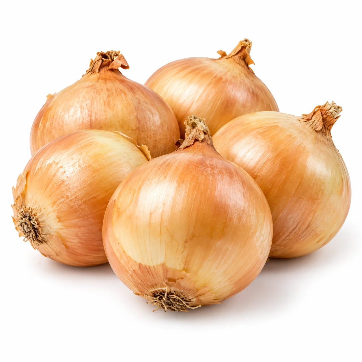 Лук